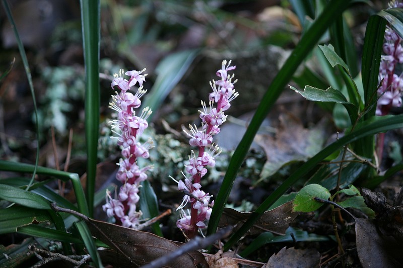e0276101_21304224.jpg