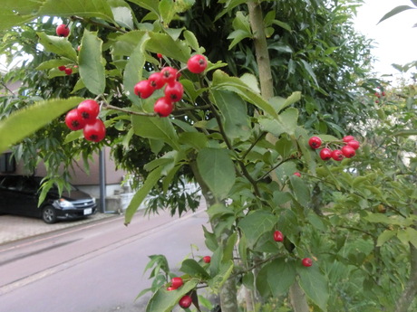 a0203003_14322263.jpg
