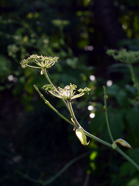 c0187503_201269.jpg