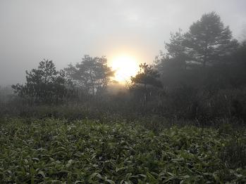 d0032405_21425653.jpg