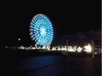 b0052108_1529541.gif