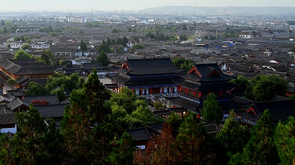 d0069411_15544688.jpg