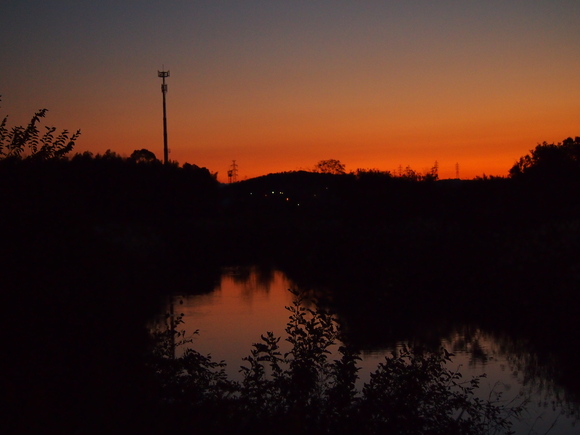 d0048812_9374999.jpg