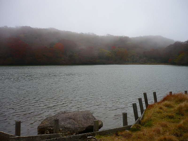 f0182513_22371719.jpg