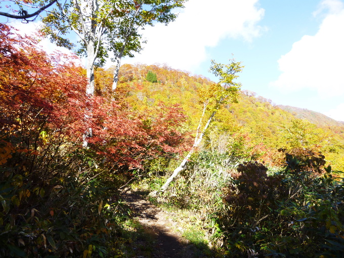 紅葉真っ盛り　銚子ｹ峰 (1,810.4M) に登る　　下山　編_d0170615_7412.jpg