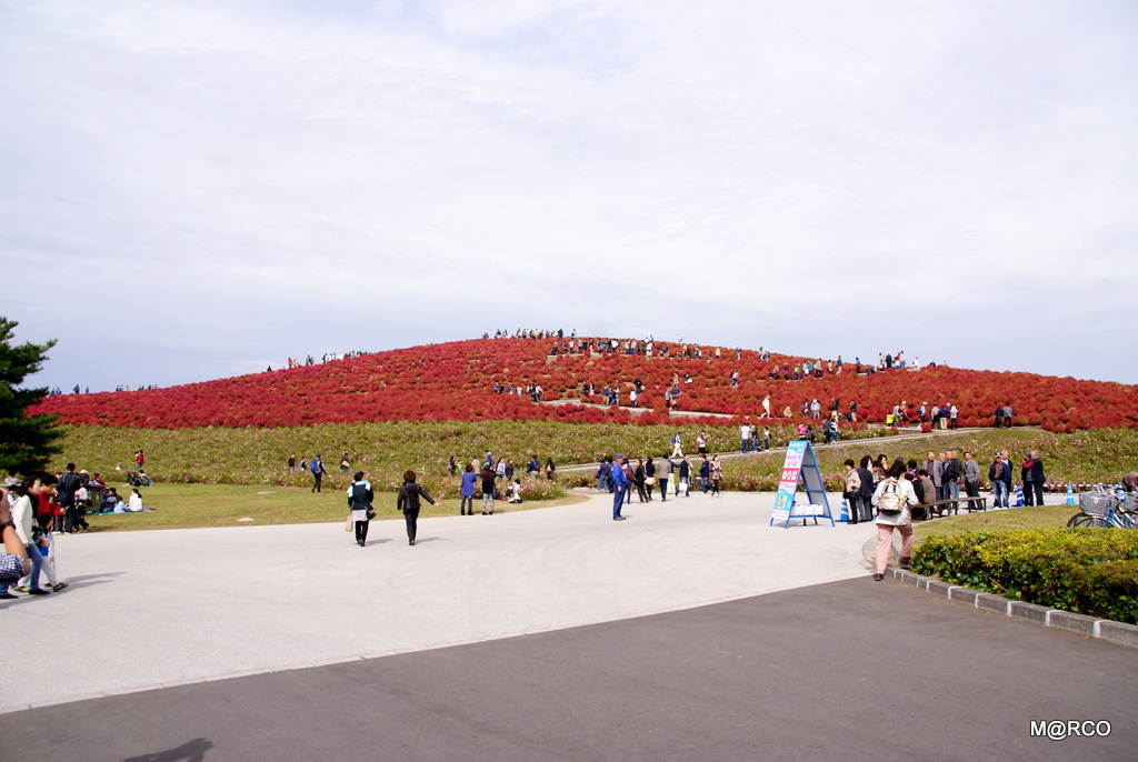 a0240721_0104559.jpg