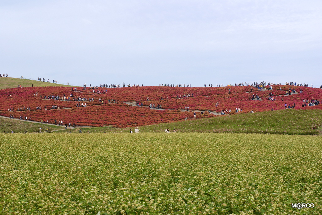 a0240721_020498.jpg
