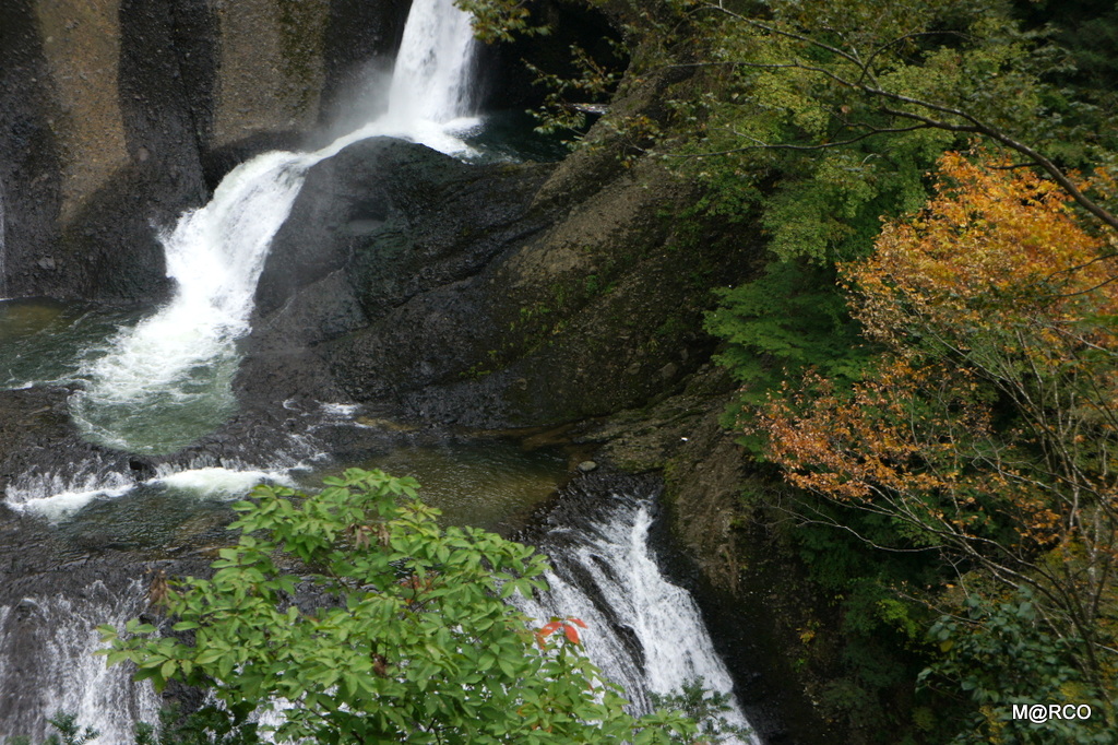 a0240721_0591065.jpg