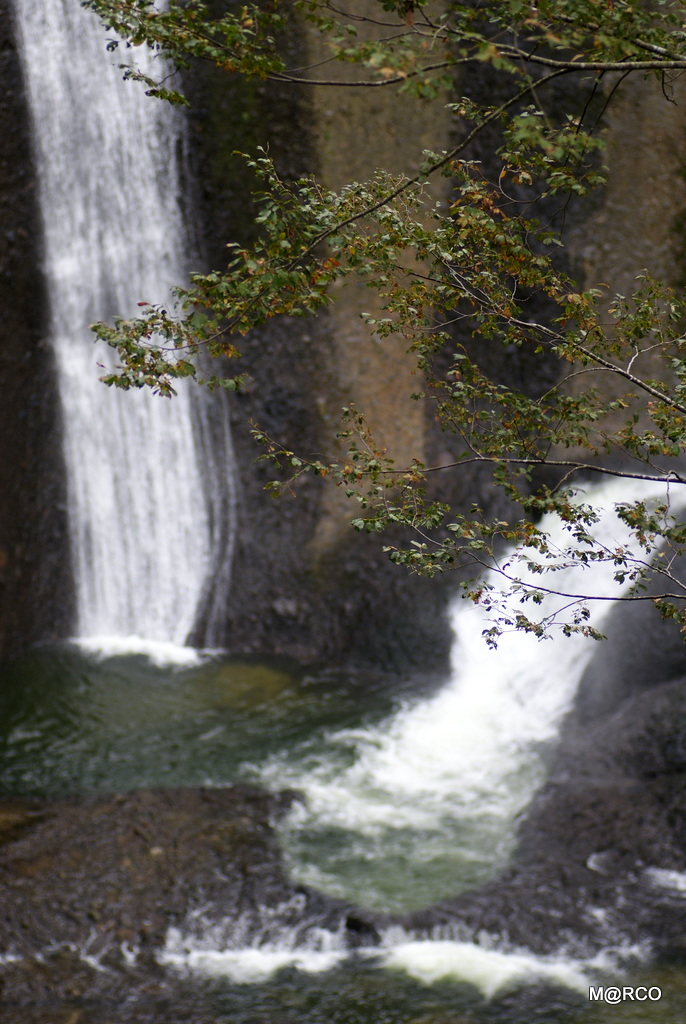 a0240721_10227.jpg