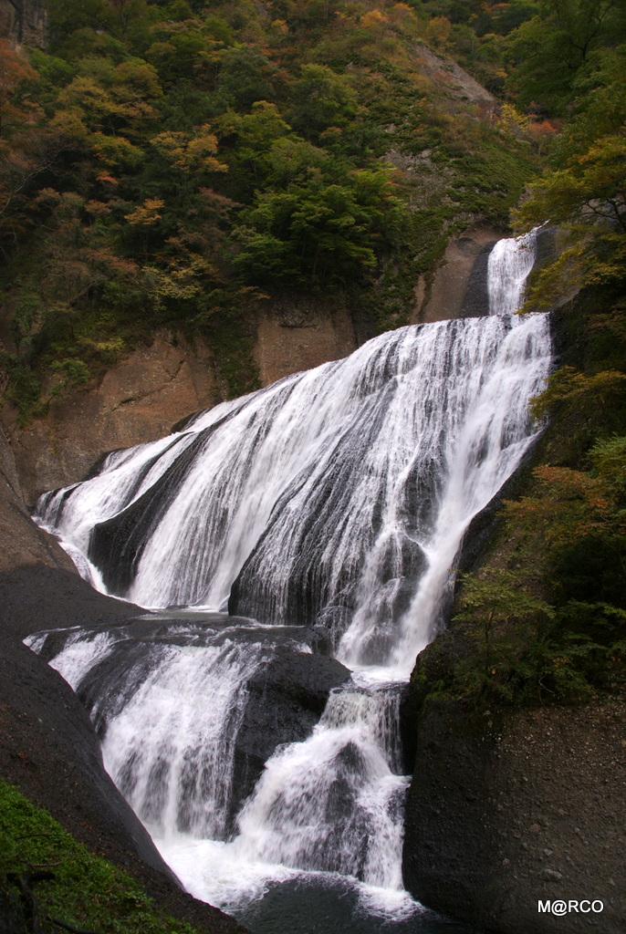 a0240721_10471.jpg