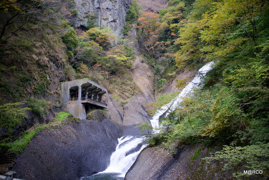 a0240721_113068.jpg