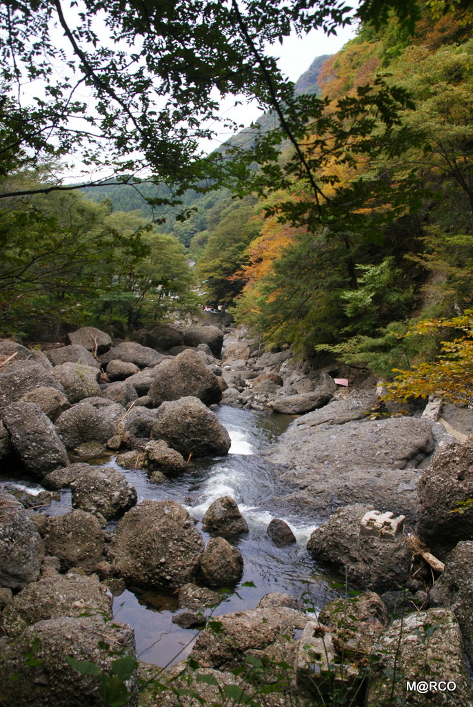 a0240721_114867.jpg