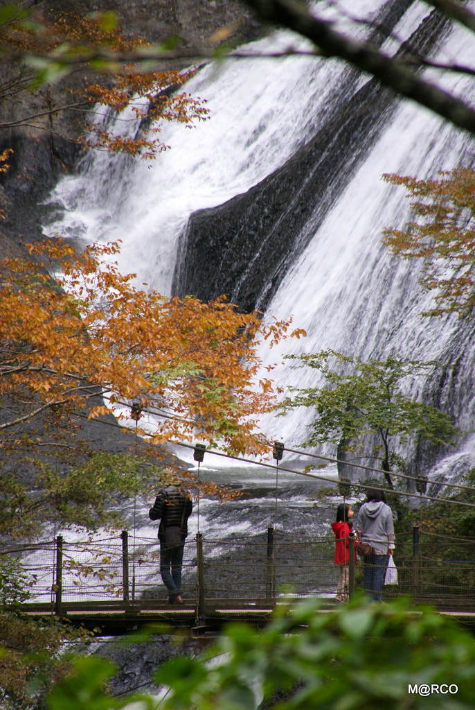 a0240721_115862.jpg
