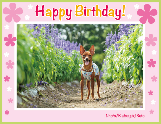 くりちゃん、お誕生日おめでとう♪_d0102523_2045697.jpg
