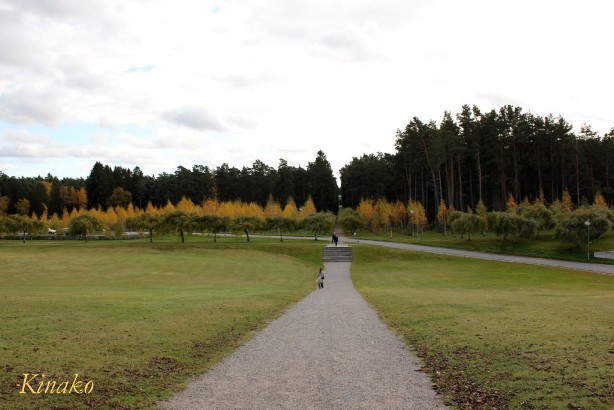 e0250023_72537.jpg