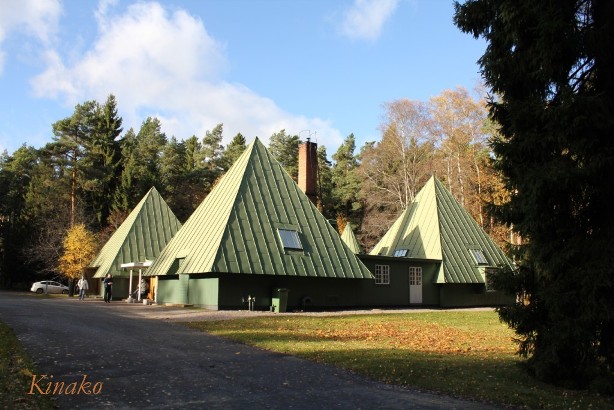 e0250023_77651.jpg
