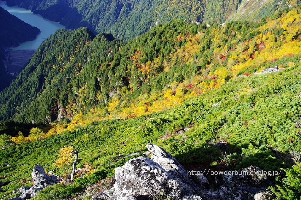 b0062024_8524999.jpg