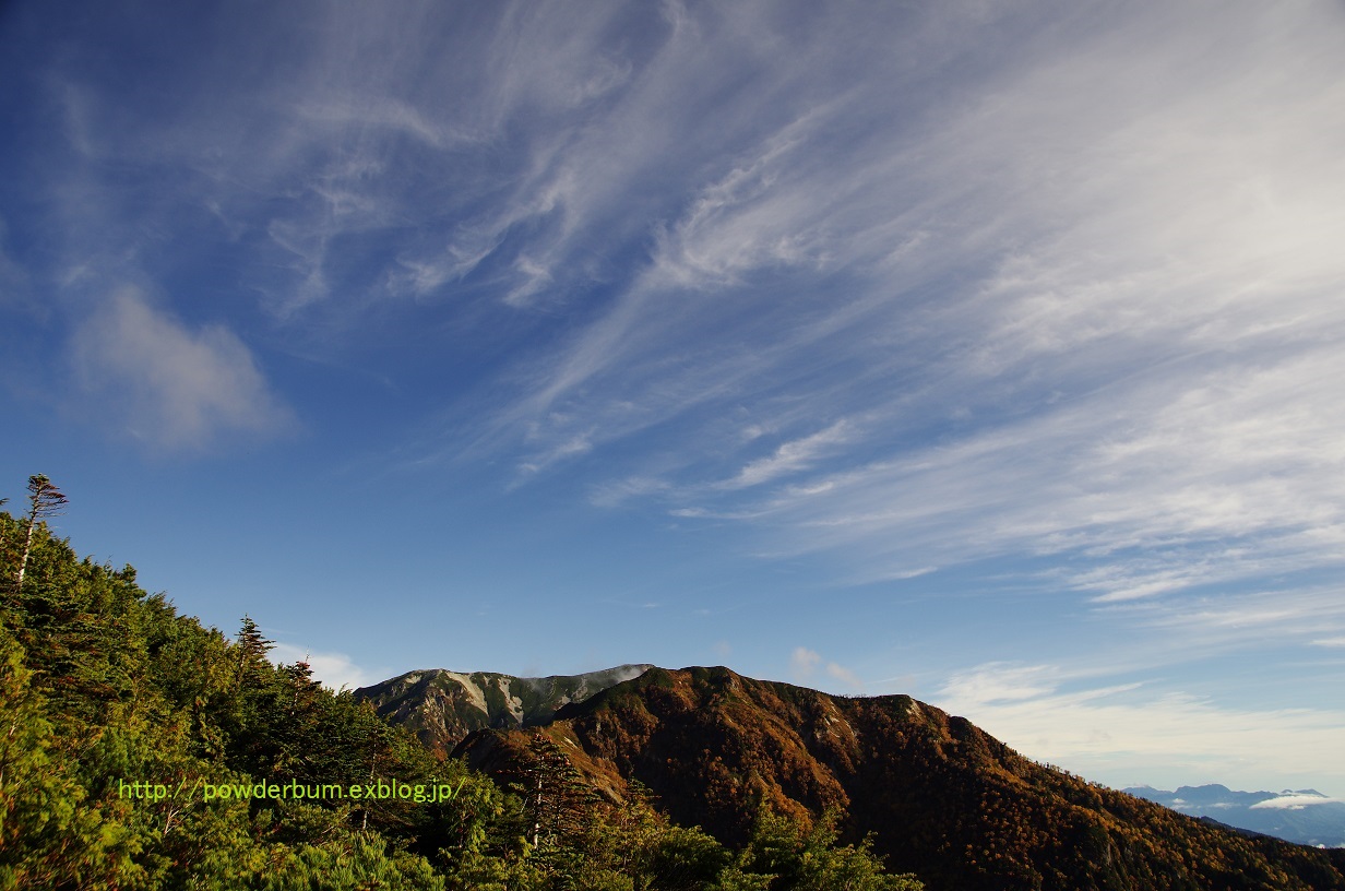 b0062024_8532985.jpg