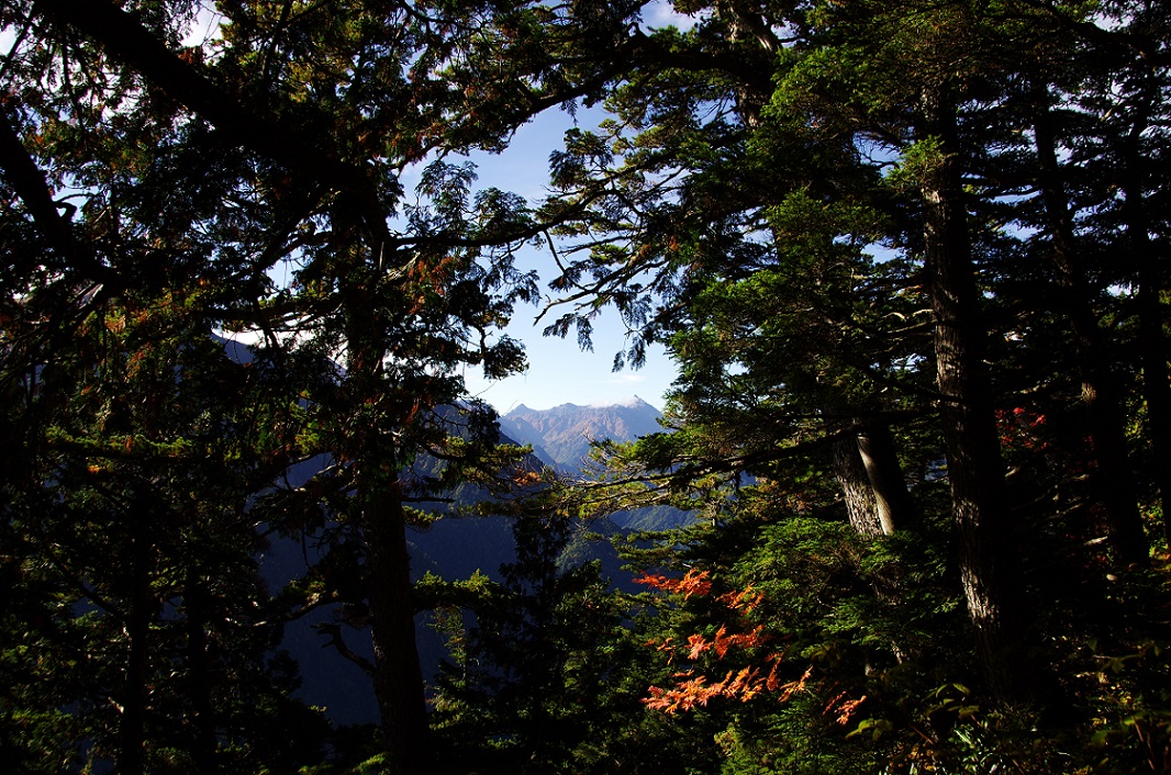 b0062024_8593450.jpg