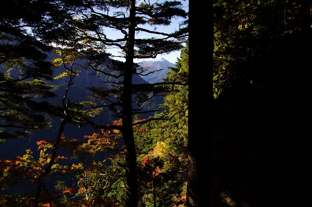b0062024_92426.jpg