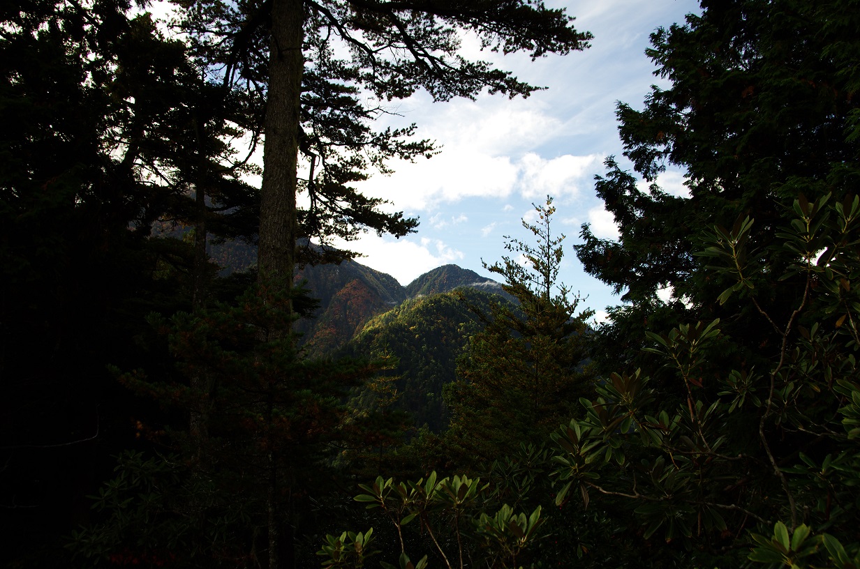 b0062024_972090.jpg