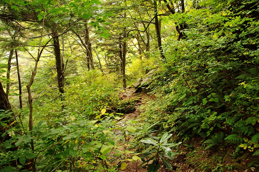 b0062024_98525.jpg