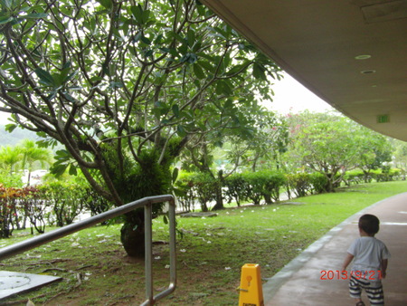 b0286825_13525.jpg