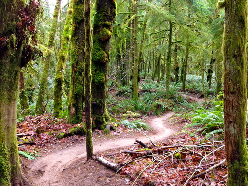 e0128129_57015.jpg