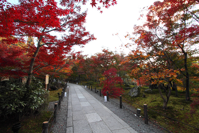 紅葉の南禅寺・哲学の路 －永観堂（後編）－_b0169330_1859799.jpg