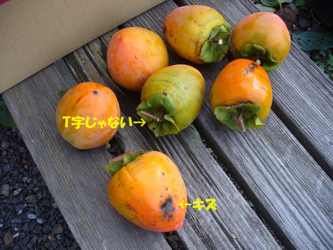 f0275632_2251641.jpg