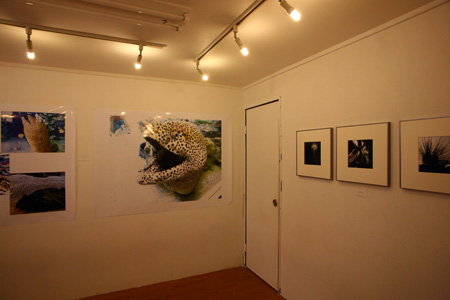 e0158242_11513236.jpg