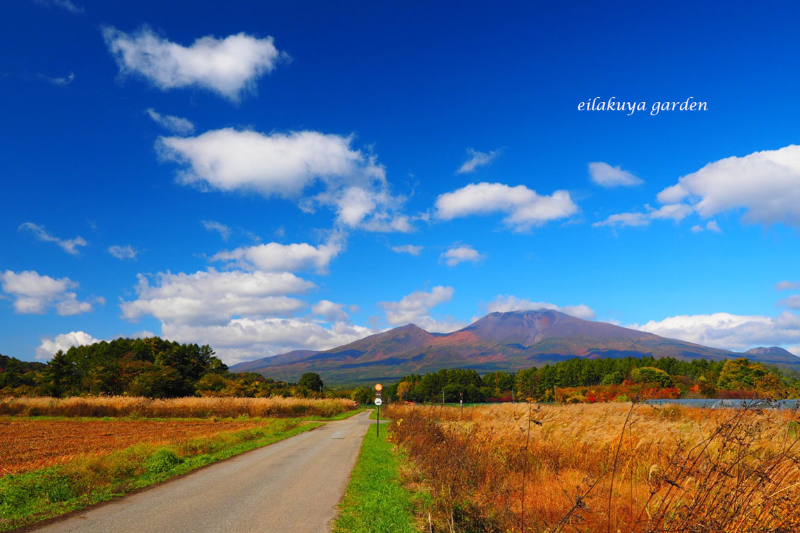 草紅葉燃え　浅間山は錦に輝く_b0133243_1545193.jpg