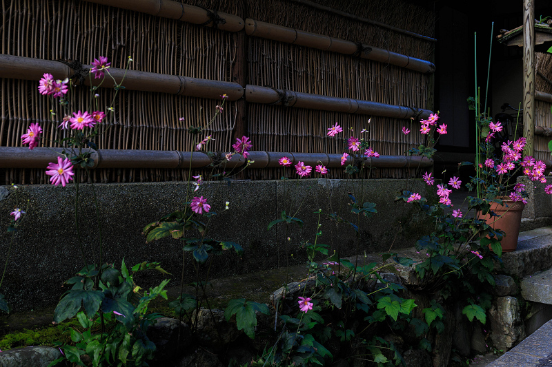 秋・奥嵯峨野ぶらり_f0155048_21594482.jpg