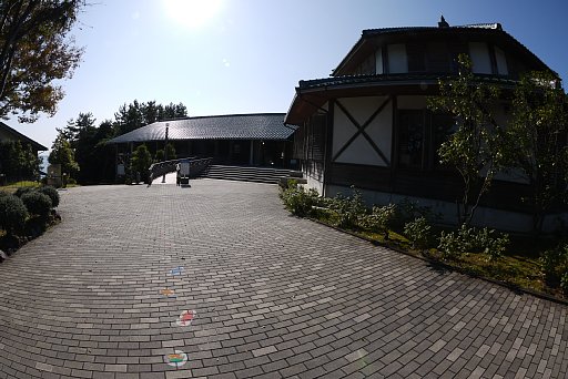 e0082949_96191.jpg