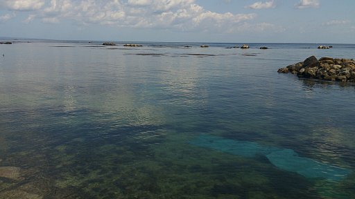 e0082949_97483.jpg