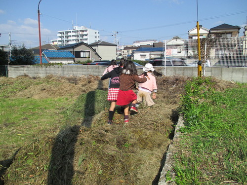 本日は晴天なり_f0079749_195121.jpg
