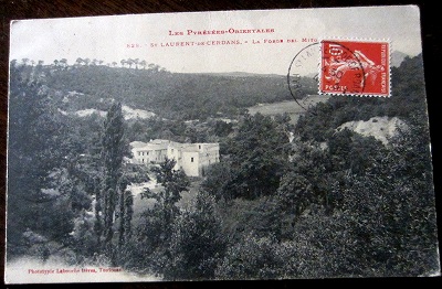 f0112550_51665.jpg
