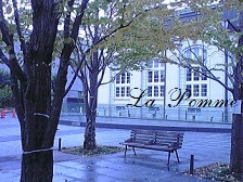 岡崎散策_e0108851_15144347.jpg