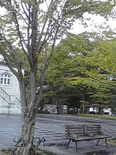 岡崎散策_e0108851_1552029.jpg