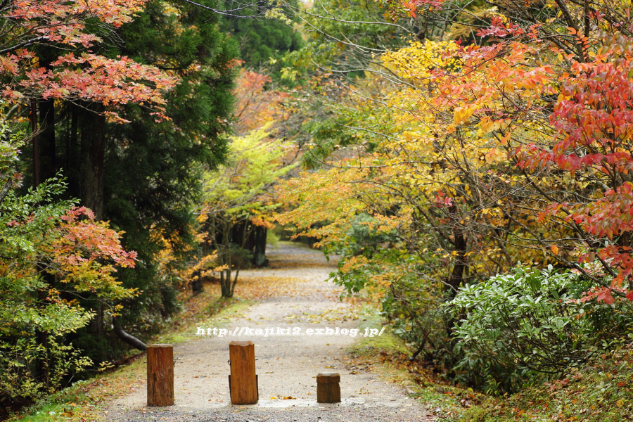 岡山県立森林公園　【1】_a0184859_1844037.jpg
