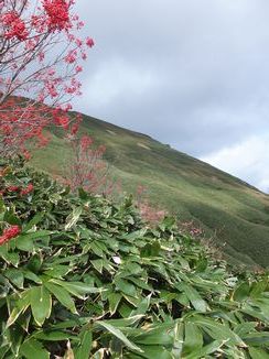 谷川岳_a0089070_8595936.jpg