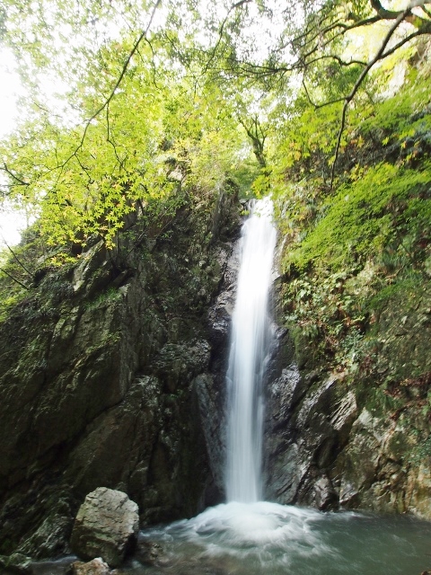 f0200373_223252.jpg