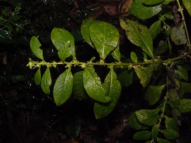 d0019074_928387.jpg
