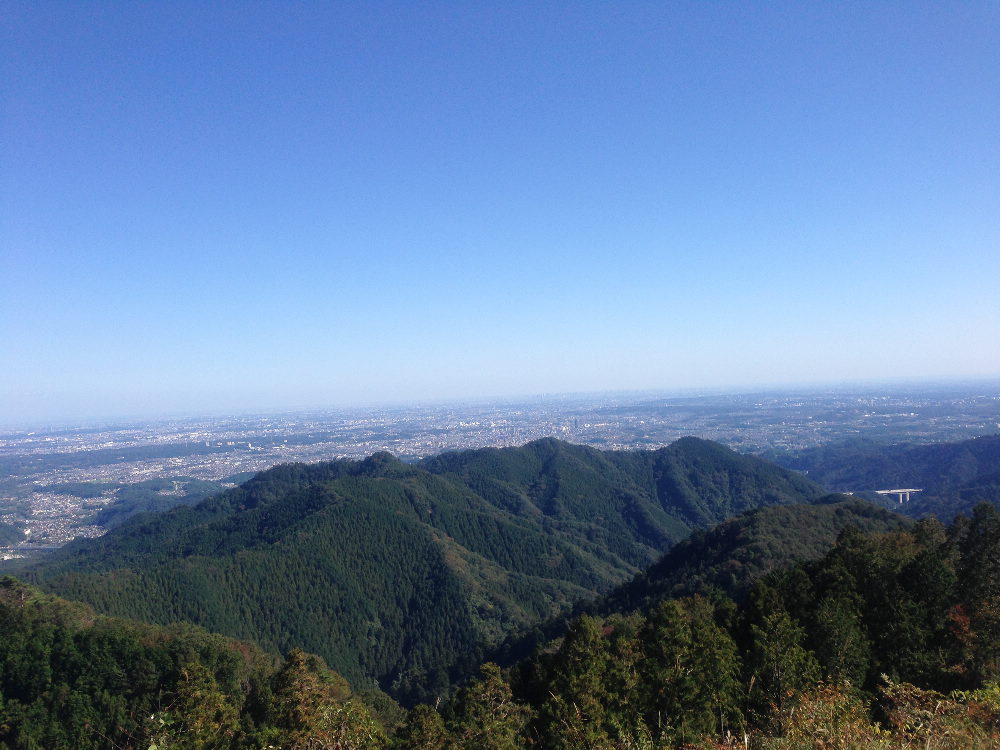 陣馬山から小仏峠、城山下売店富士見茶屋へ_b0184877_20225642.jpg