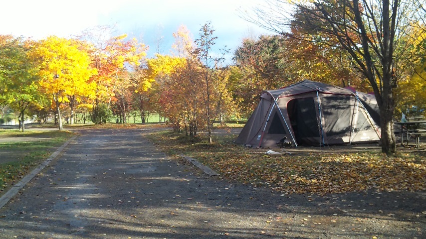 f0131183_2250341.jpg