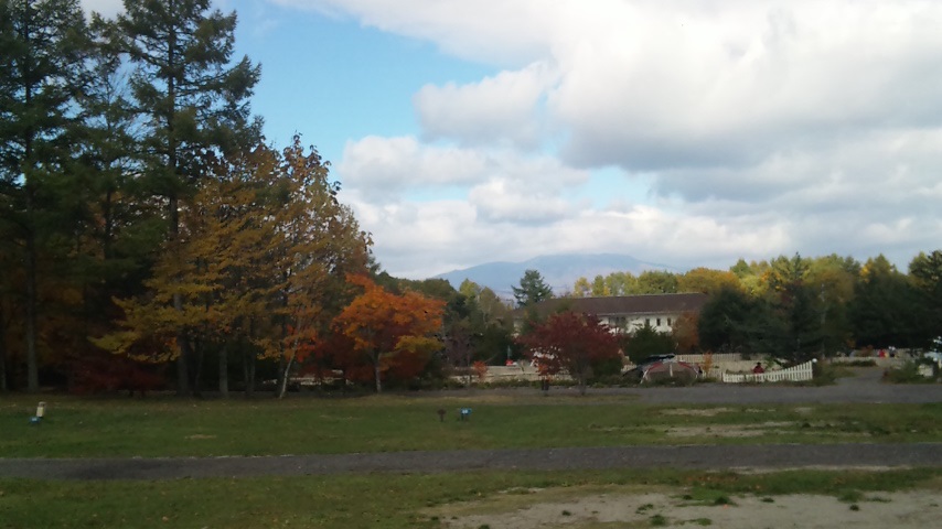 f0131183_2311514.jpg