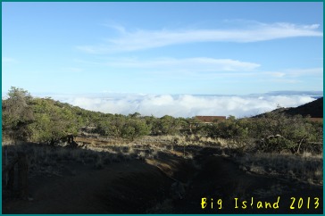 d0044986_11593218.jpg