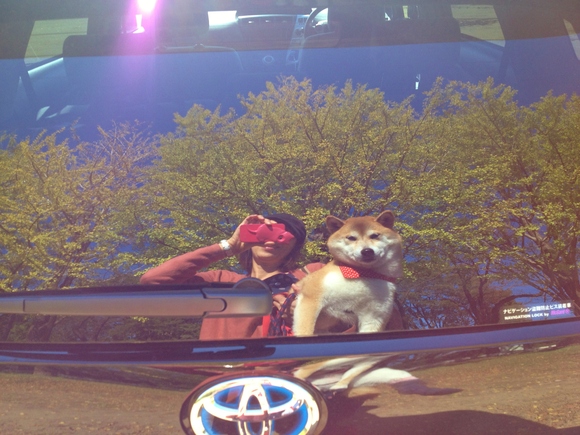 散歩の後のお楽しみ_a0126590_22344777.jpg
