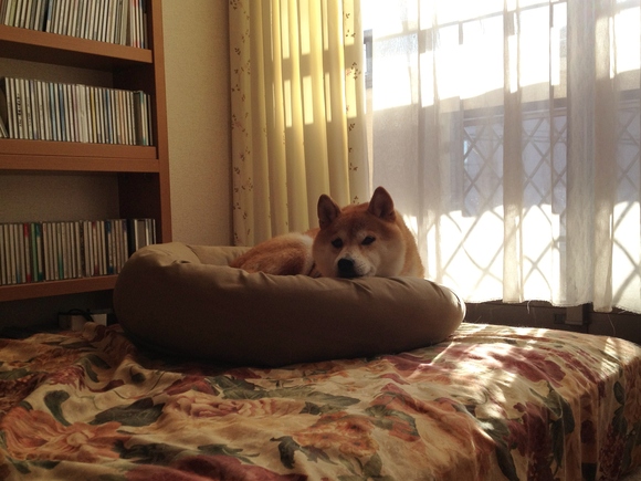 プレッシャー_a0126590_8454856.jpg