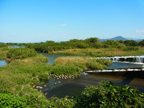 a0214490_1781158.jpg